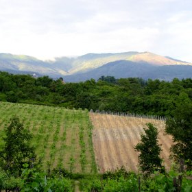  Antico Borgo la Torre 