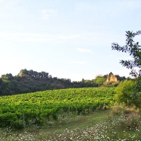  Antico Borgo la Torre 