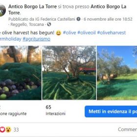  Antico Borgo la Torre 